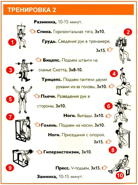 Изысканный тренировочный режим в фитнес-клубе, специально разработанный для женщин — достигайте лучшей версии своего тела!