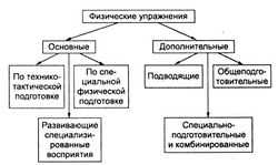 Тактические тренировки в спортивной подготовке