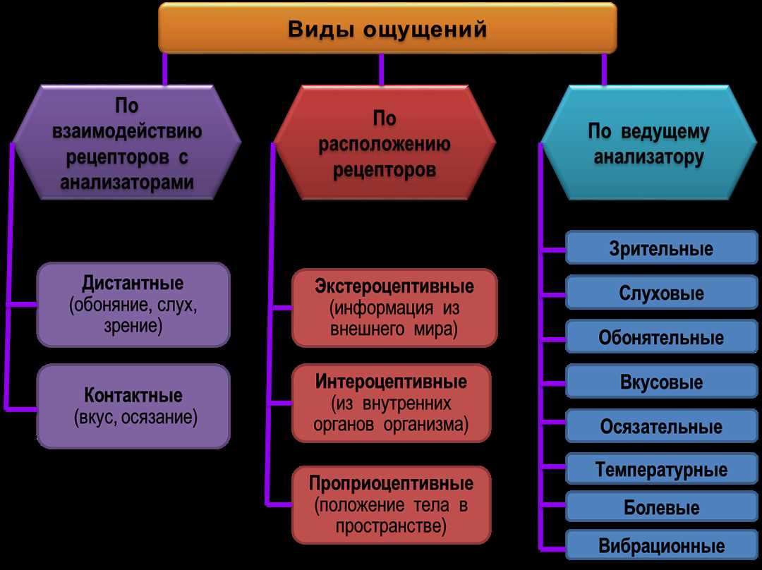 Тематические игры и упражнения для развития ощущений и восприятий