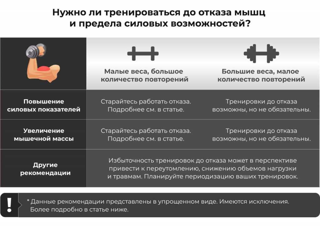 Тренировки для эктоморфов: развитие мышц, правильное питание и оптимальные нагрузки