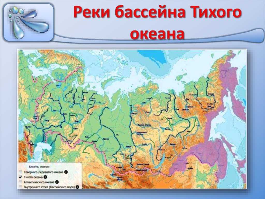 Распределение рек по географическим зонам в бассейне Тихого океана