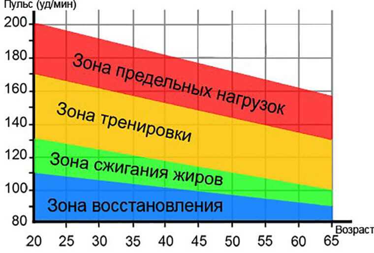 Оптимальные значения пульса при силовой тренировке — какой будет идеальный уровень сердечного ритма?