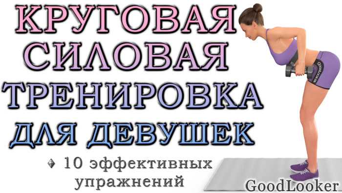 Как эффективно тренироваться всем телом в зале — лучшие упражнения и готовые программы