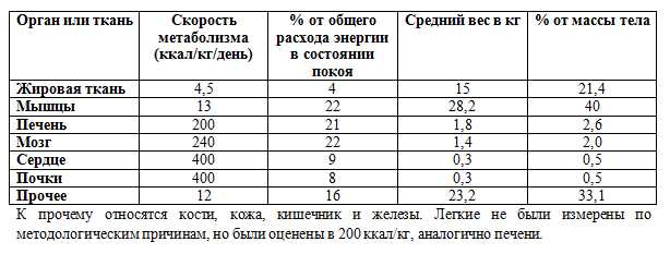 Систематичность и регулярность тренировок