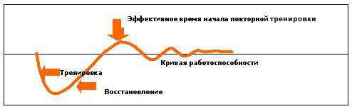 Значимость восстановления после физической нагрузки