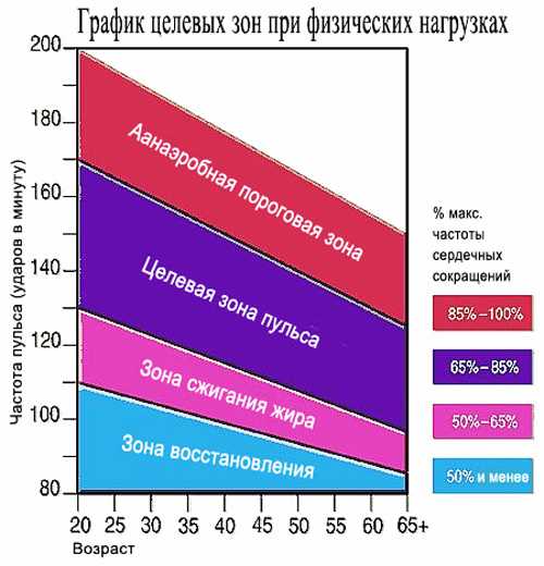 Интенсивность тренировки: как правильно контролировать с помощью пульсометра