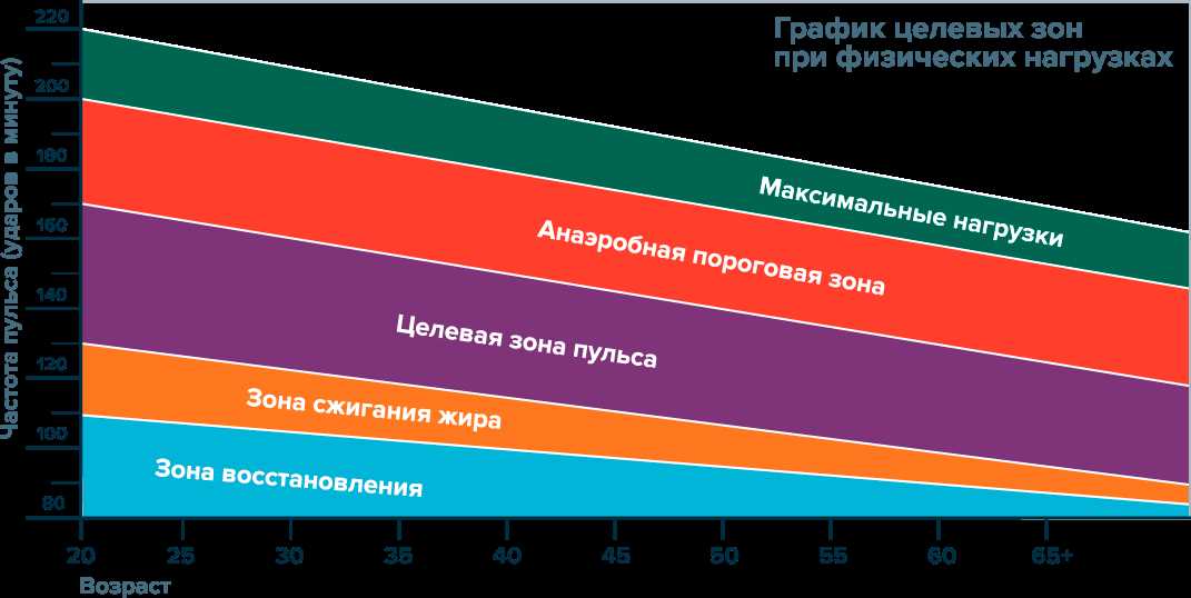 Значение пульсовых зон в тренировках