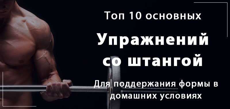 Выбор тренировочного оборудования: важный шаг на пути к результатам