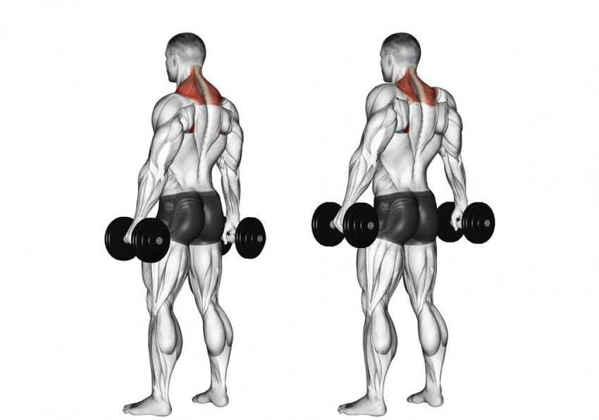 Махи гантелями для проработки плечевого пояса