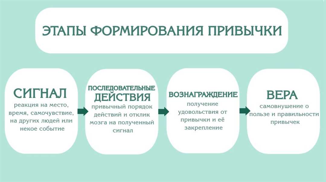 Как достичь успеха через эффективное обучение — секреты учебной тренировки