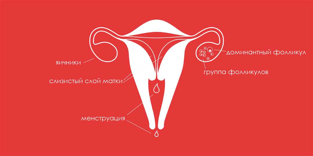 Как силовые тренировки влияют на месячный цикл у женщин?